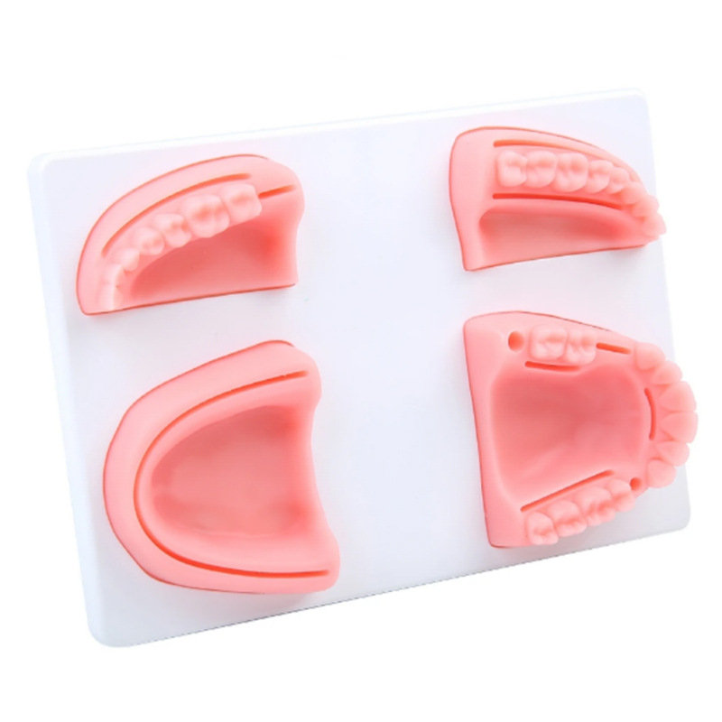 Silicone Gingival Suture Module
